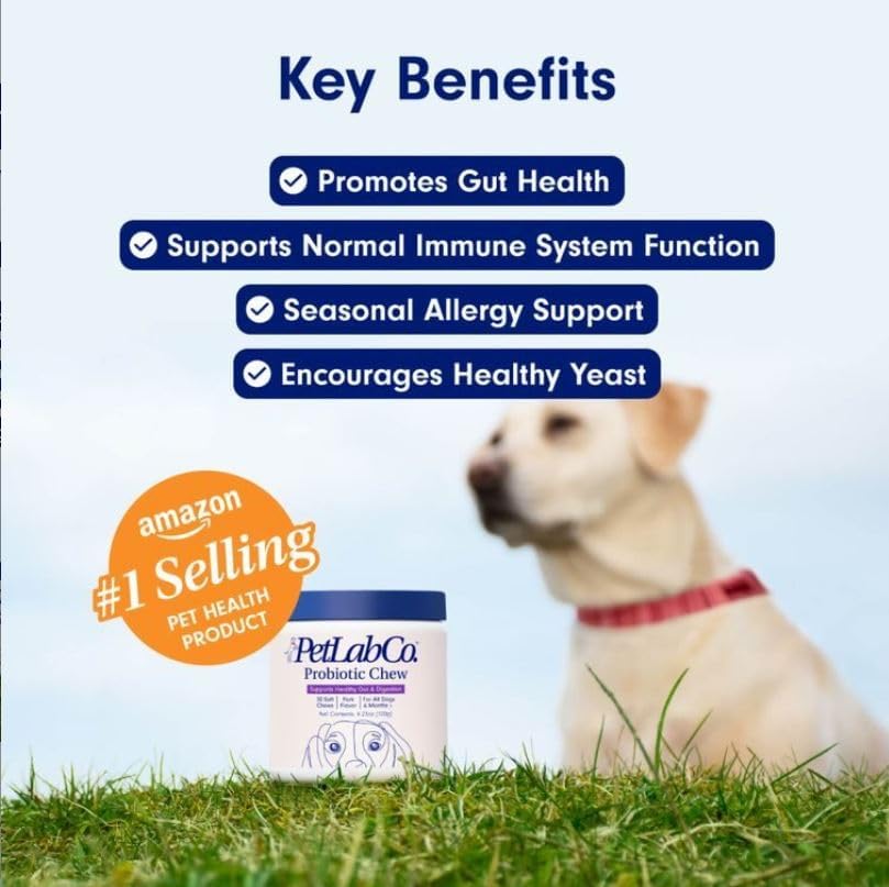 UniitesMarketplace.com™  PetLab Co. Probiotics for Dogs, Pork Flavored, Support Gut Health, Diarrhea, Digestive Health & Seasonal Allergies - 30 Soft Chews - Packaging May Vary,  $36.91